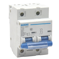 赛驰科技(SAICKG) SCK3-125/2 2P C100 低压空气开关 (单位台) 蓝白