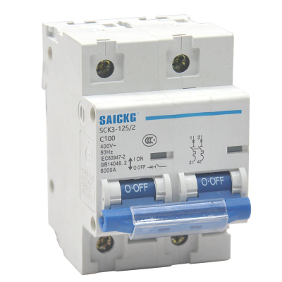 赛驰科技(SAICKG) SCK3-125/2 2P C100 低压空气开关 (单位台) 蓝白