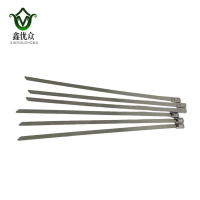 鑫优众 不锈钢扎带 7.9*300mm 根