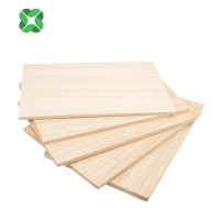 珈瑄 木工板 工地木工板整张胶合板隔板 600*400*20mm 块