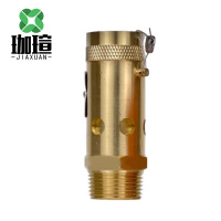 珈瑄 安全阀A28X-16T 个