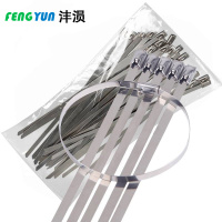 沣涢 束线带 500*4.6*0.25mm 包