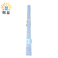 辉泰 钢直尺 1m 根