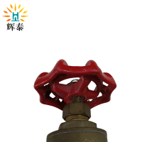 辉泰 阀门 DN40 个