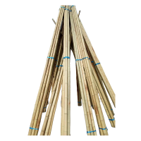 满盛达建 竹旗杆 4cm*5m 根