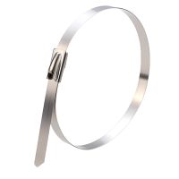 满盛达建 不锈钢扎带 4.6*200mm 根