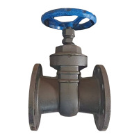 满盛达建 法兰暗杆闸阀 DN100 个