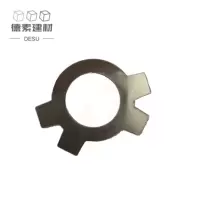 德素 不锈钢止退垫圈 C21 /个