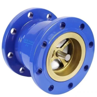 艾菲勒 止回阀 立式法兰止回阀 单向逆止阀  个(DN125)