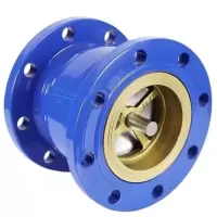 艾菲勒 止回阀 立式法兰止回阀 单向逆止阀  个(DN200)