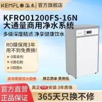 溢泰KEMFLO康富乐 反渗透净水器大通量净水系统KFRO01200FS-16N