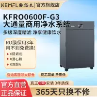 溢泰KEMFLO康富乐 反渗透净水器大通量商用净水系统KFRO0600F-G3