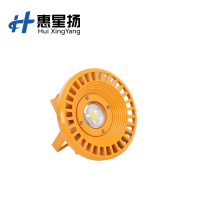 惠星扬 LED工矿防爆灯 圆形隔爆型仓库厂房照明灯防爆灯加油站吊灯 100w 个