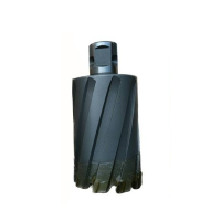 万梓 硬质合金多刃钻头 31*25*63*18 支