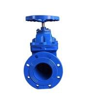 万梓 闸阀 DN300 个