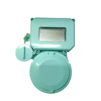 万梓 物联网水表 DN15 个