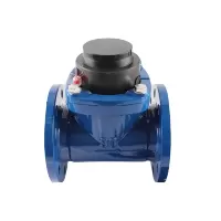 万梓 机械水表 DN80 个