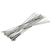 万梓 不锈钢扎带 7.9*200mm 根