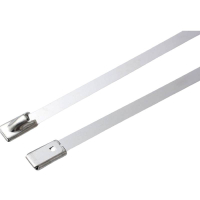 万梓 不锈钢扎带 10*450mm 根