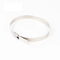 万梓 不锈钢扎带 12*1600mm 根