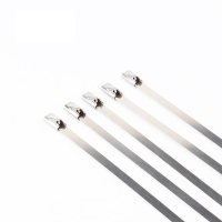 万梓 不锈钢扎带 19*1000mm 根