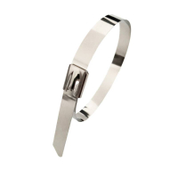 万梓 不锈钢扎带 12*2000mm 根