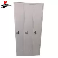 丰叶卓邦 三门更衣柜 储物柜FY-XSMGYG3514T 个