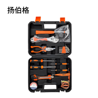 扬伯格 组合工具套装 20件套 套