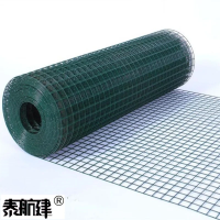 泰航建 荷兰网 1m*30m 卷