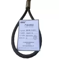 泰航建 钢丝绳(压双环) 10mm*4.0m 根