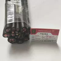 金电石 橡套软电缆 YC3X25+1X10 米