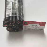 金电石 橡套软电缆 YC 3X10+1X6 米