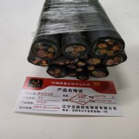 金电石 橡套软电缆 YC4X2.5 米