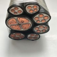 金电石 铠装硬铜芯电缆 YJV22 3*10+1*6 米