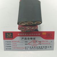 金电石 耐寒扁电缆 YFFB 3*2.5 米