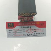 金电石 耐寒扁电缆 YFFB 3*4 米