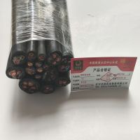 金电石 橡套软电缆 YC5X2.5 米