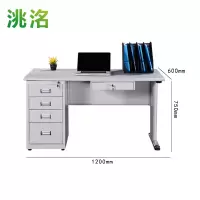 洮洺 办公桌 电脑桌 1200*600*750mm 张