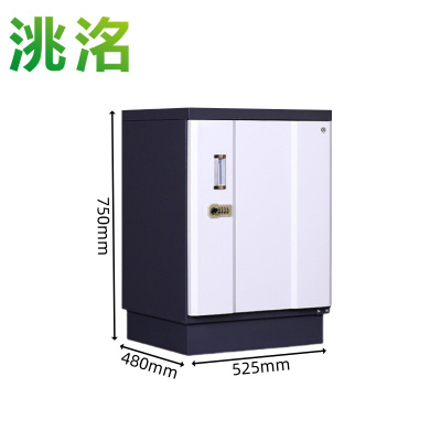 洮洺 档案柜 525*480*750mm 台
