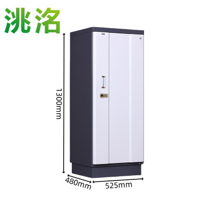 洮洺 档案防磁柜 525*480*1300mm 台