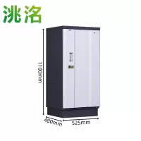 洮洺 磁盘柜 525*480*1100mm 台