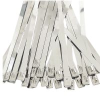端固 304自锁式不锈钢扎带 4.6*100mm 包(100条/包)