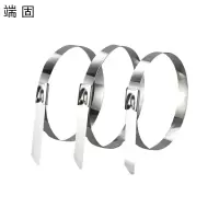 端固 304不锈钢扎带4.6*500mm /条