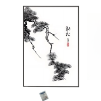 吉迎尚品 装饰画水墨画壁画挂画国画 劲松40*60cm 个