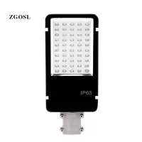 ZGOSL 路灯灯头 100w 个