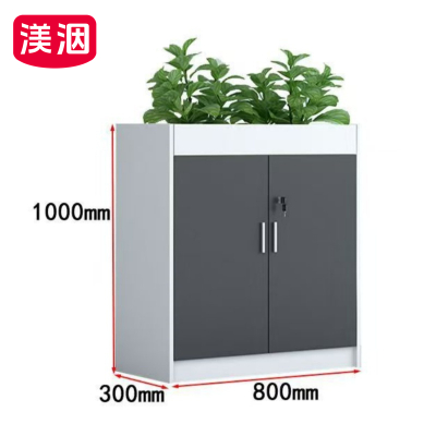 渼洇 办公柜 二门 个