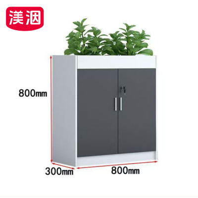 渼洇 资料柜 二门 个