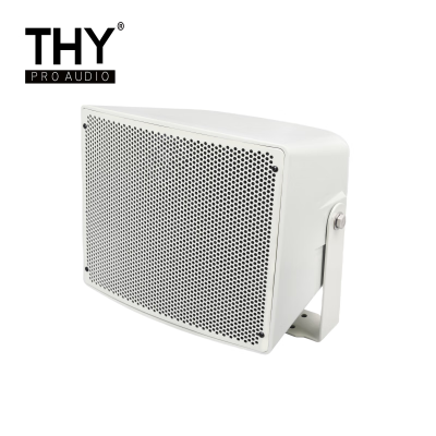 THY PRO AUDIO户外防水(全天候远程)大功率全频音箱/定阻/定压/可选调试使用/BS-310F /只