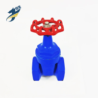 伽隽 铸铁截止阀 DN32 / 个