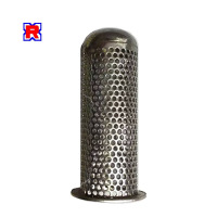 RX 雨量仪不锈钢滤网 65*21mm 只